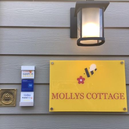 Mollys Cottage-The Suite On Vancouver Island Near Yyj Airport And The Wa And Bc Ferries North Saanich Exteriér fotografie
